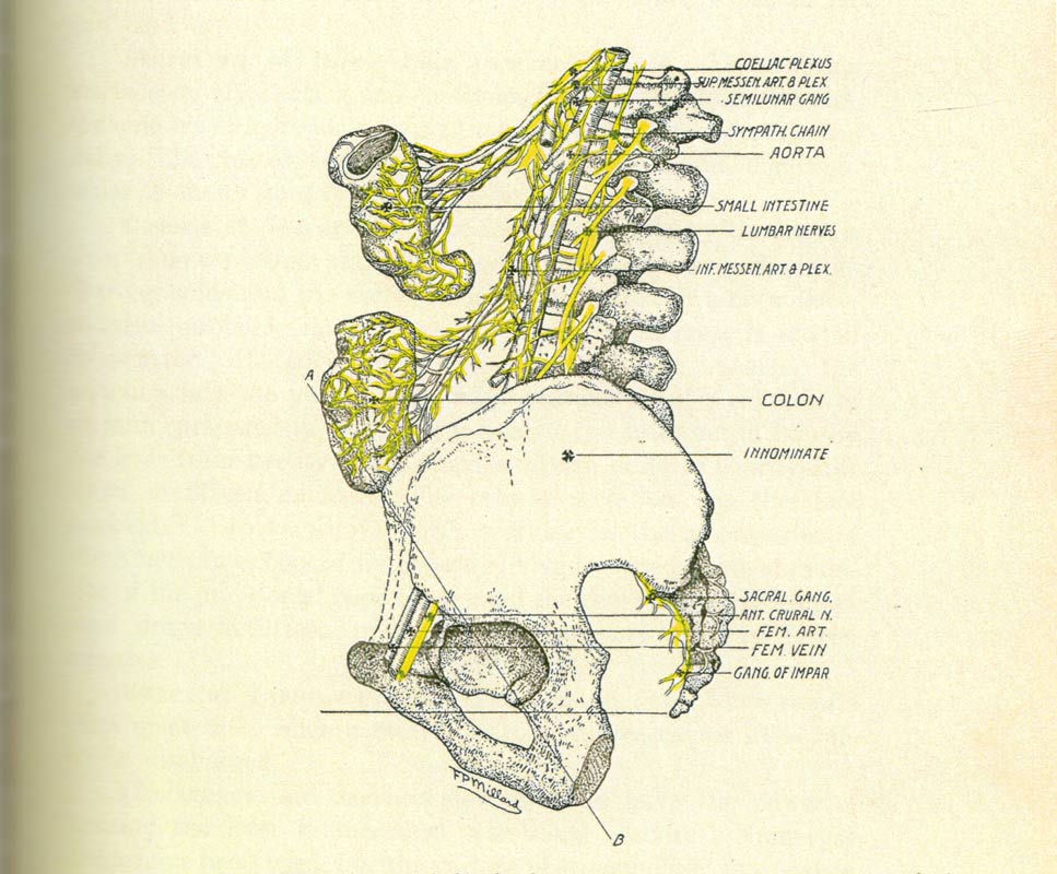 Bio image